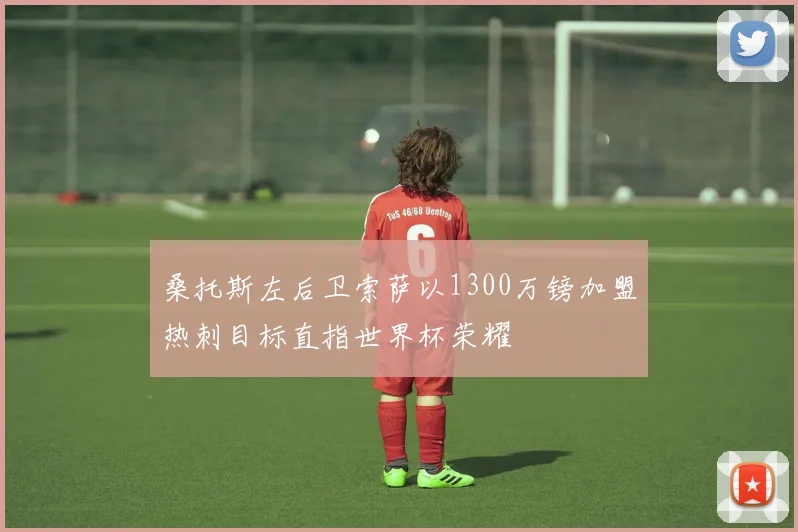 桑托斯左后卫索萨以1300万镑加盟热刺目标直指世界杯荣耀