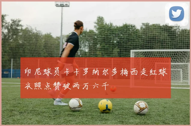 印尼球员卡卡罗纳尔多梅西走红球衣照点赞破两万六千